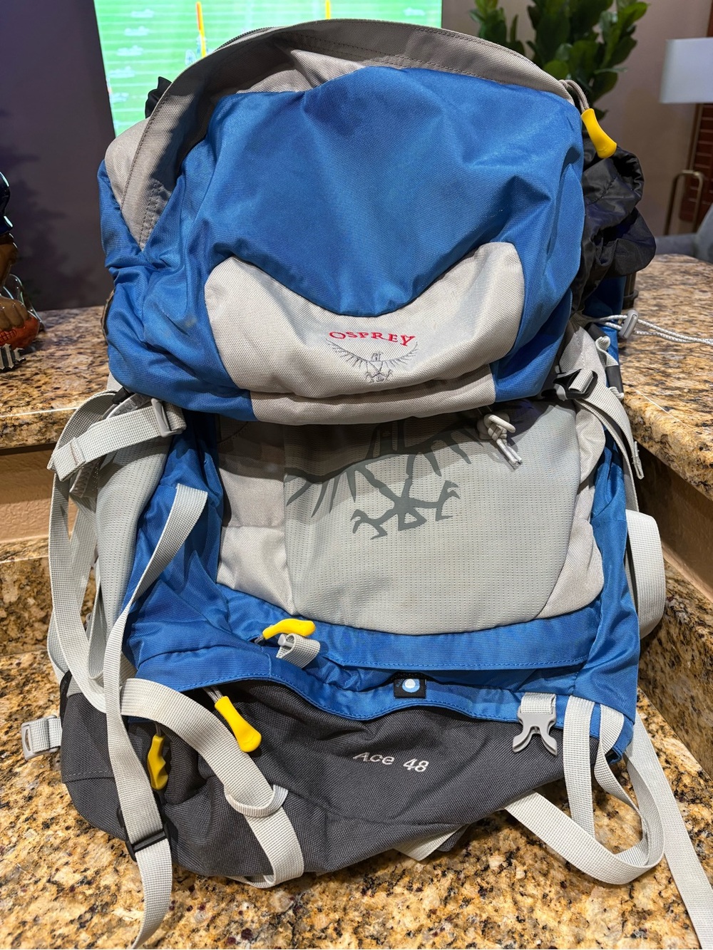 Osprey Ace 48 Backpacking Blue Backpack Outdoor Hiking Ruck Excellent Condition